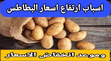 ارتفاع أسعار البطاطس اليوم السبت 29 نوفمبر 2025 في السوق.. سعر الخضار والفاكهة في سوق العبور